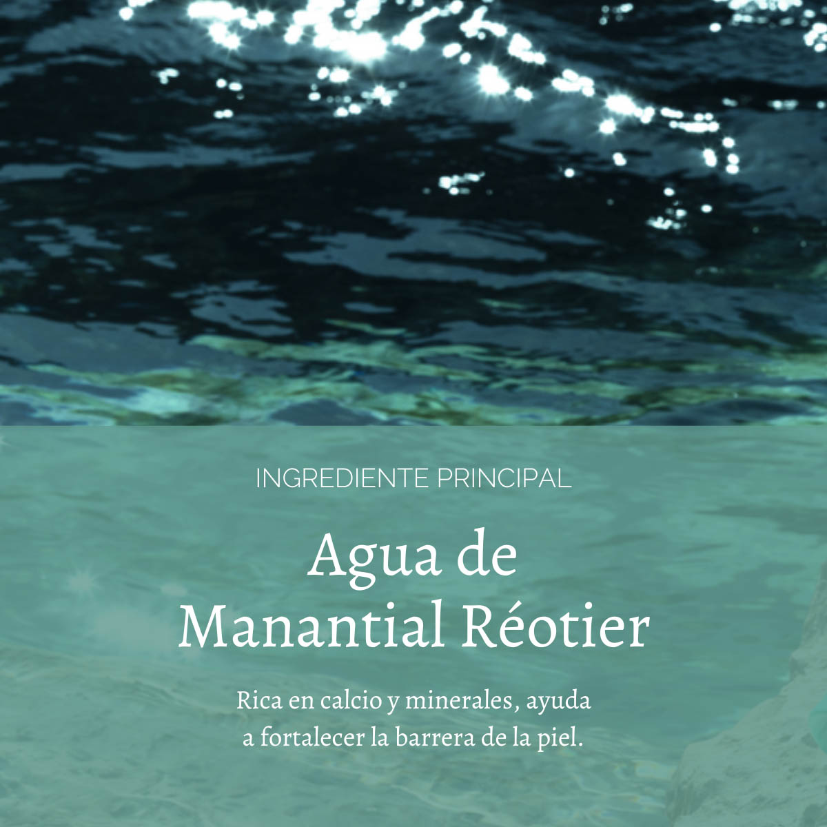 FLUIDO MATIFICANTE REOTIER 50 ML L'OCCITANE - 4