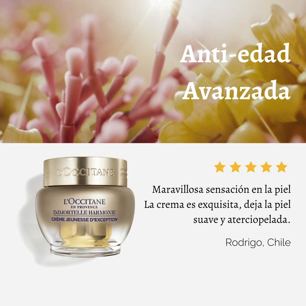 CREMA FACIAL ANTIEDAD HARMONIE 50 ML L'OCCITANE - 6