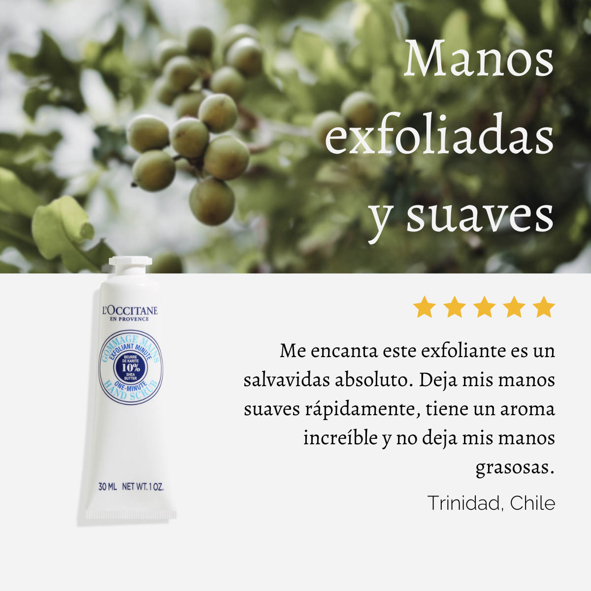 EXFOLIANTE DE MANOS KARITÉ 30 ML L'OCCITANE - 4