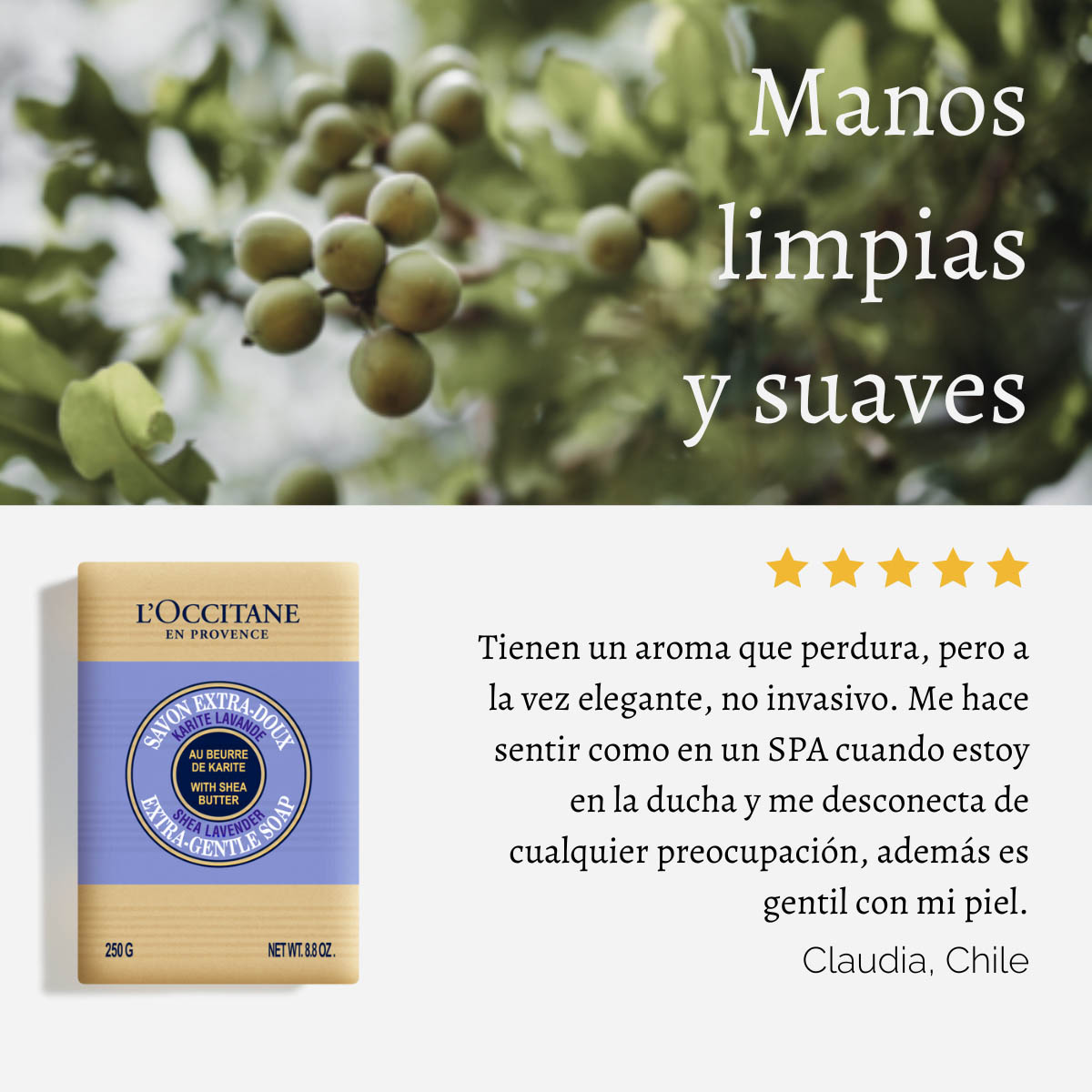 JABÓN SÓLIDO KARITÉ LAVANDA 250 G L'OCCITANE - 7
