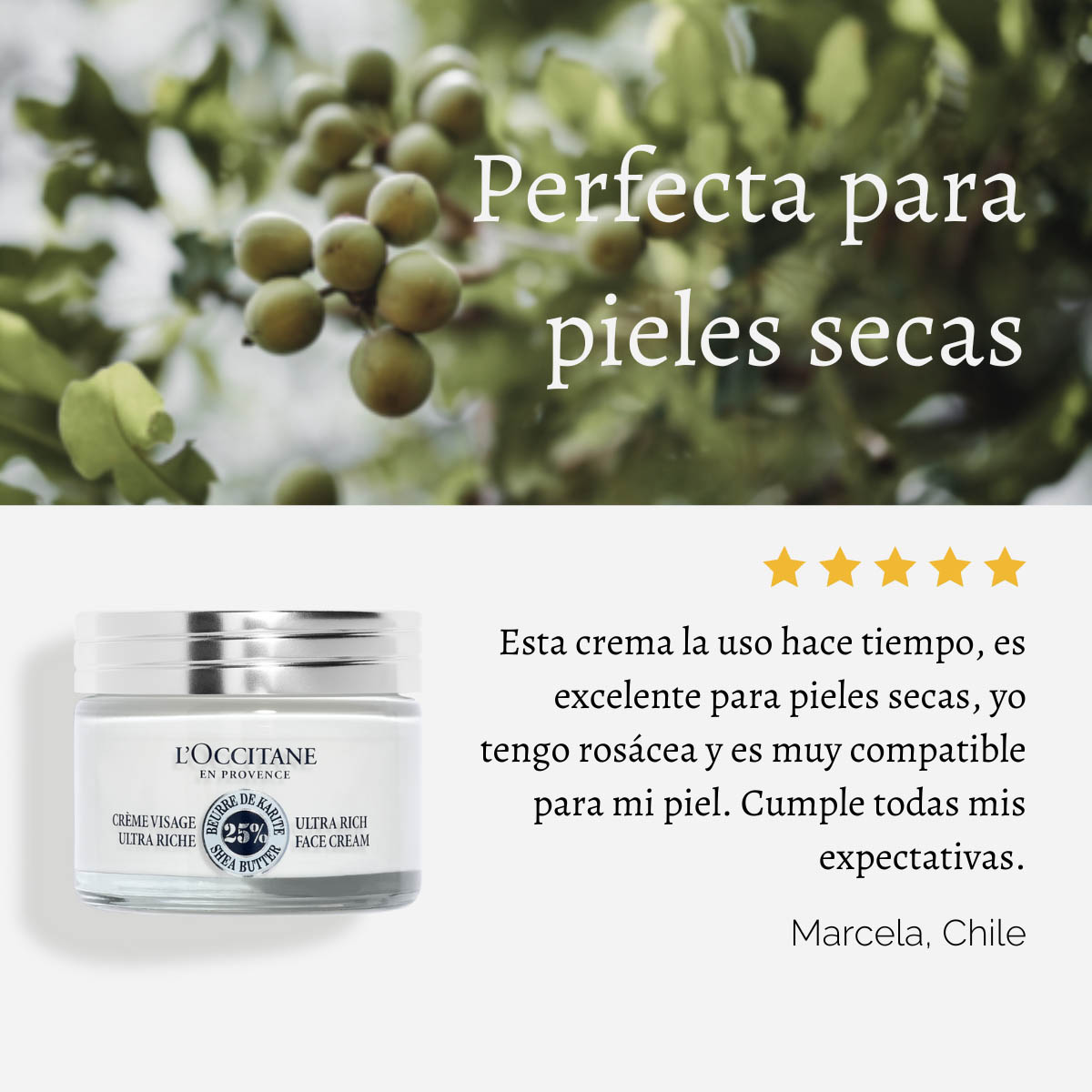 CREMA FACIAL ULTRA RICH KARITÉ 50 ML, L'OCCITANE - 5