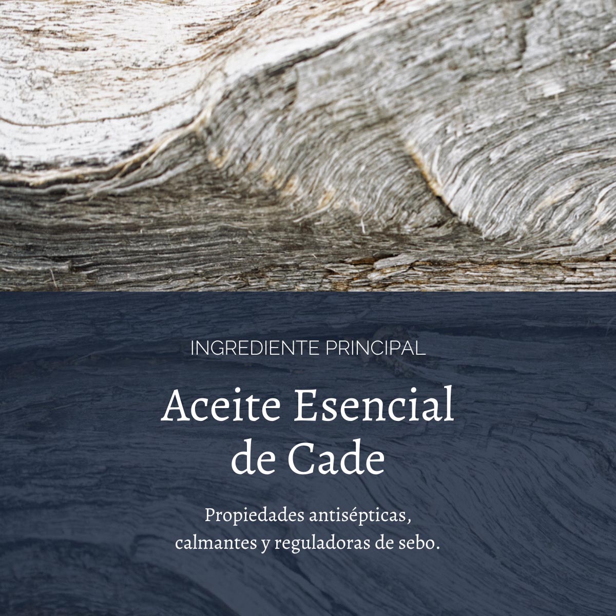 CREMA DE AFEITAR CADE HOMBRE 150 ML L'OCCITANE - 3