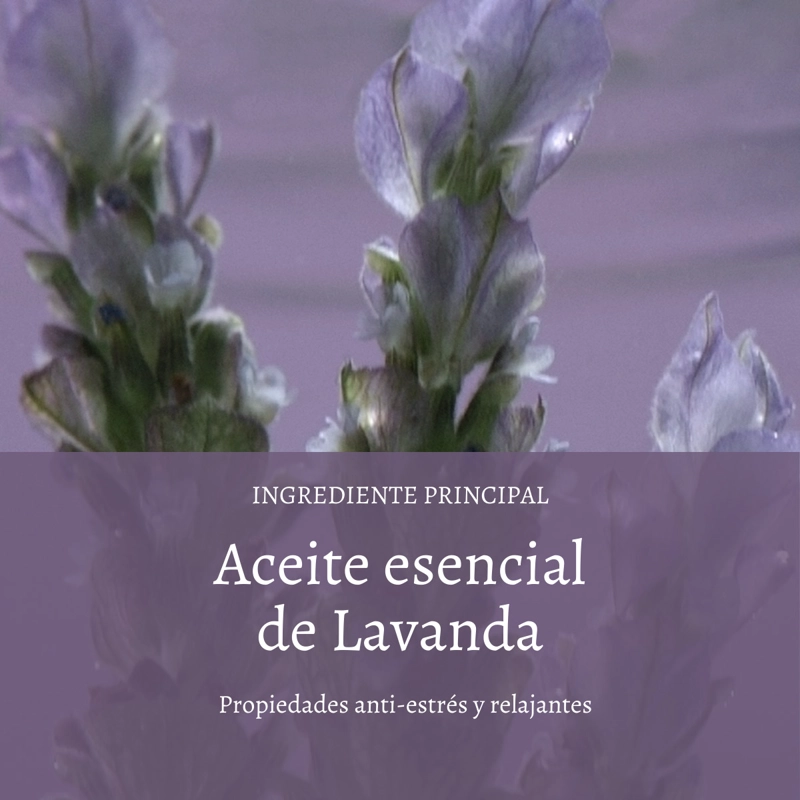 LECHE DE CUERPO LAVANDA EN COLOR BLANCO 250 ML L'OCCITANE - 2
