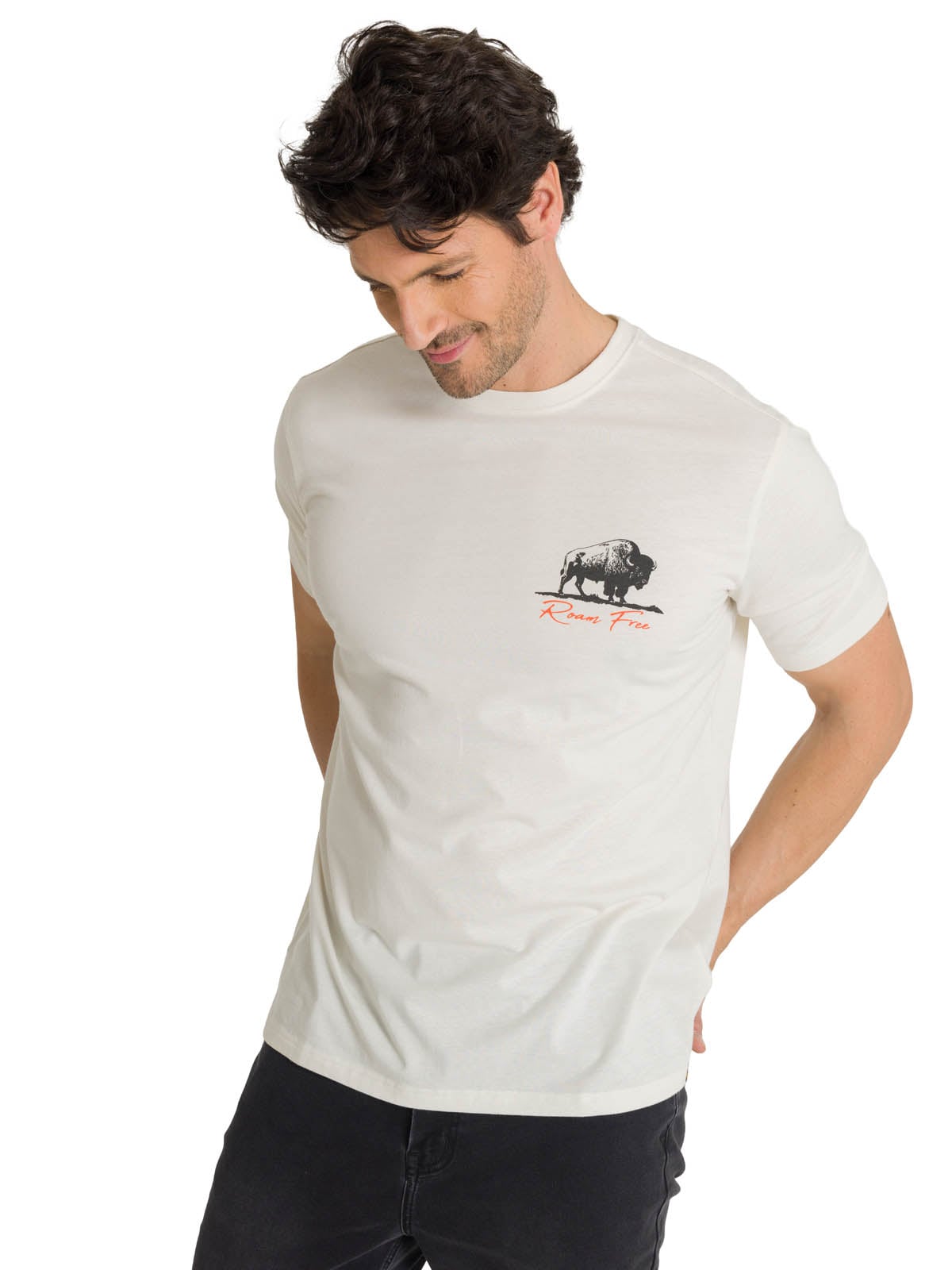 POLERA MANGA CORTA HOMBRE ROAM FREE BISON BLANCO CAT - 2