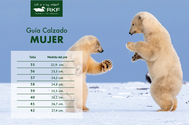 ALPARGATA CUERO MUJER HOUSTON METALIZADO ROCKFORD - 3