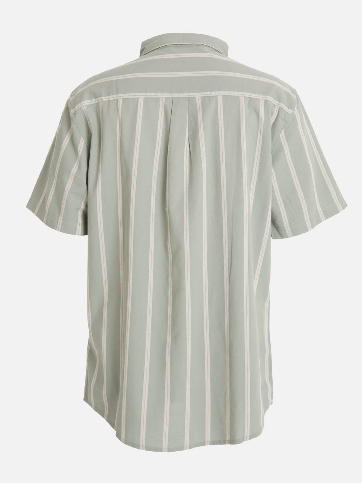 CAMISA M/C HOMBRE CLASSIC LINES VERDE BURTON - 7