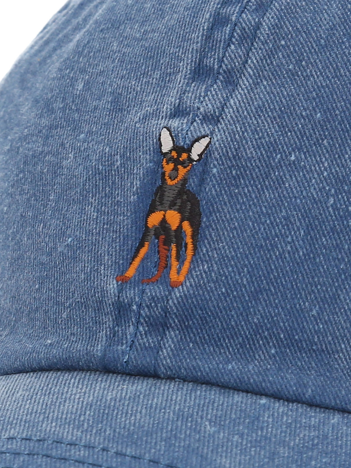 JOCKEY ALGODON ORG UNISEX CAP PINSCHER AZUL ROCKFORD - 4