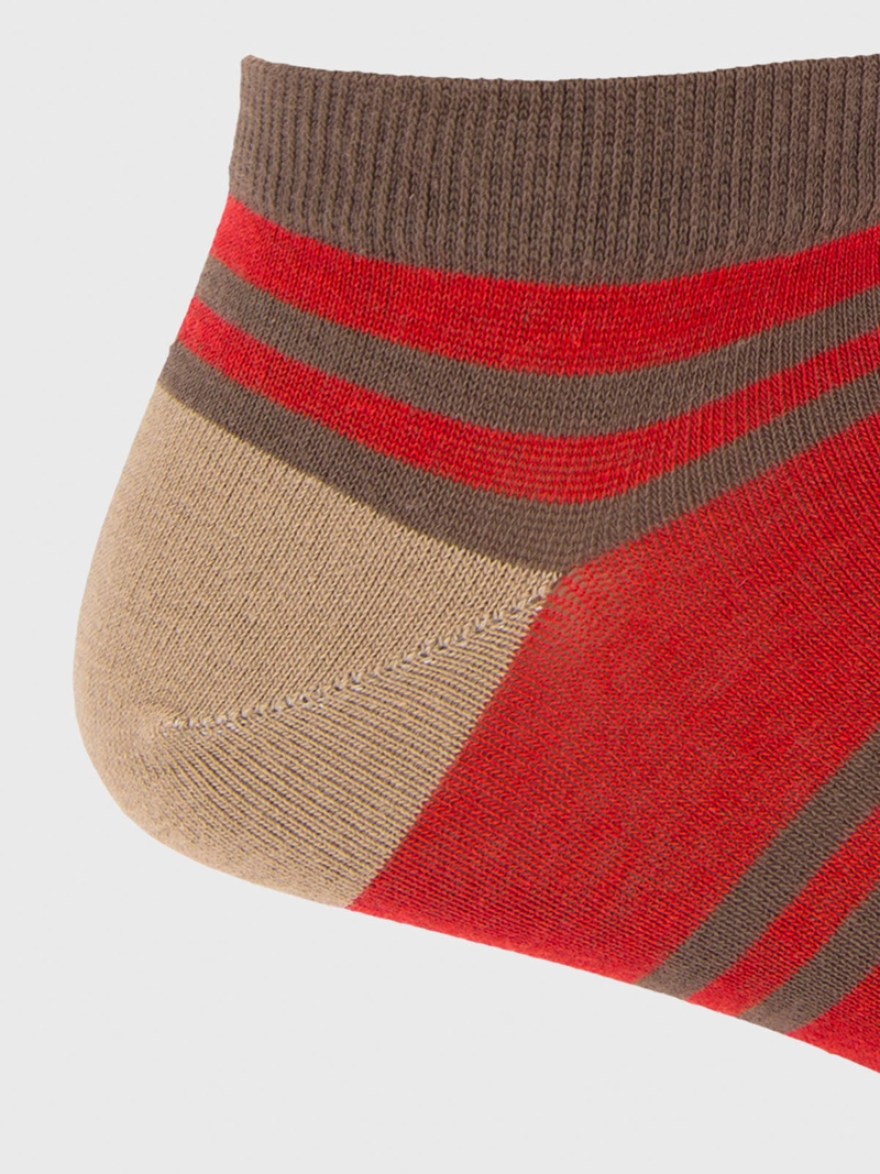 CALCETIN ALGODON HOMBRE MULTILINE CAFE  HUSH PUPPIES - 3