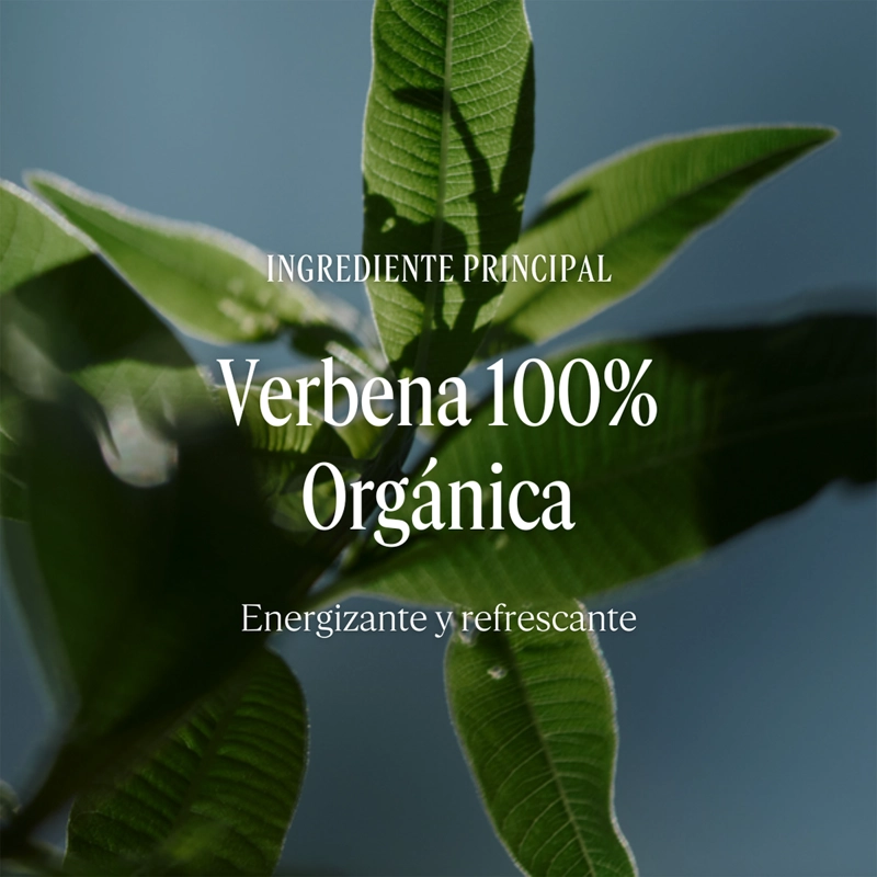 REFILL GEL DE DUCHA VERBENA CITRUS 500 ML L'OCCITANE - 3