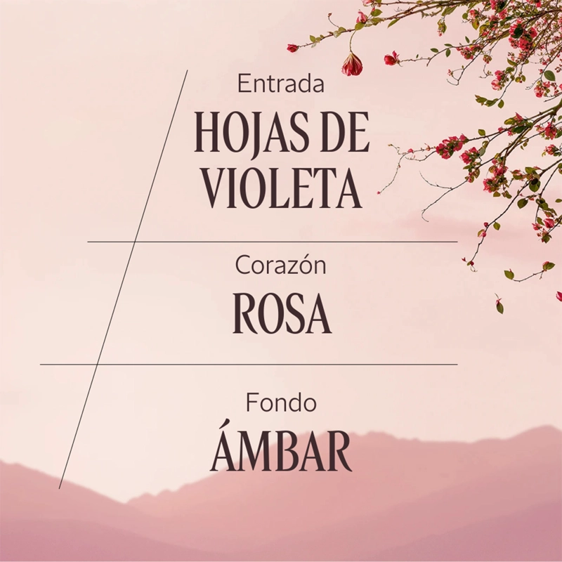 PERFUME MUJER ROSE EDT 50 ML L'OCCITANE - 4