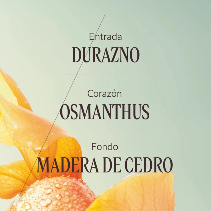 PERFUME MUJER OSMANTHUS ABRICOT EDT 50 ML  L'OCCITANE - 4
