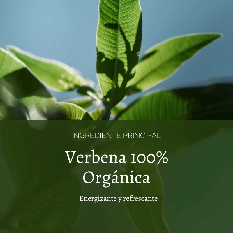 PERFUME UNISEX VERBENA CITRUS EDT 100 ML, L'OCCITANE - 5