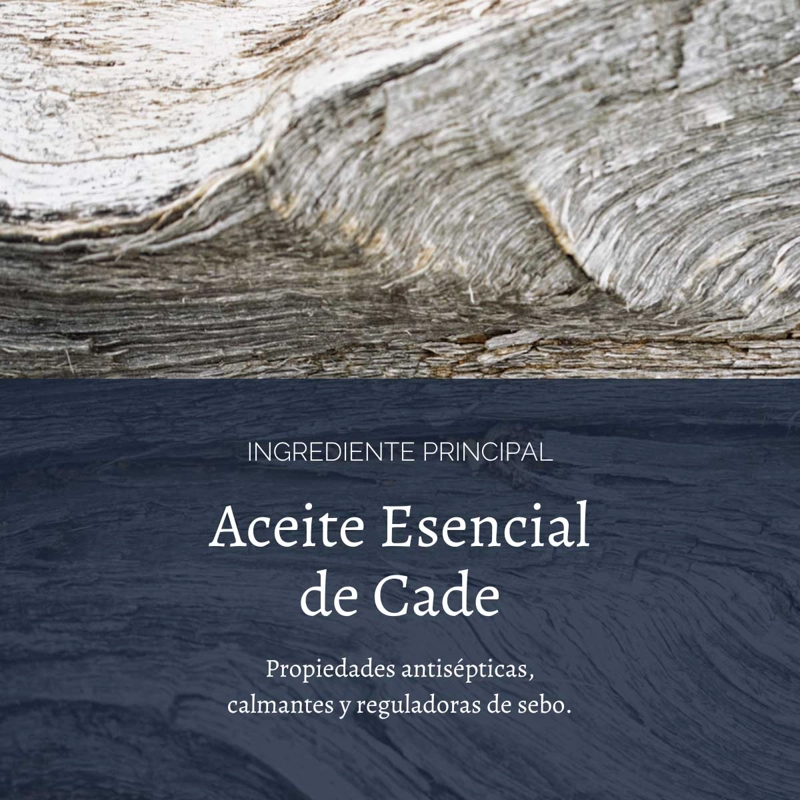 GEL-ESPUMA DE AFEITAR CADE 150 ML L'OCCITANE - 2