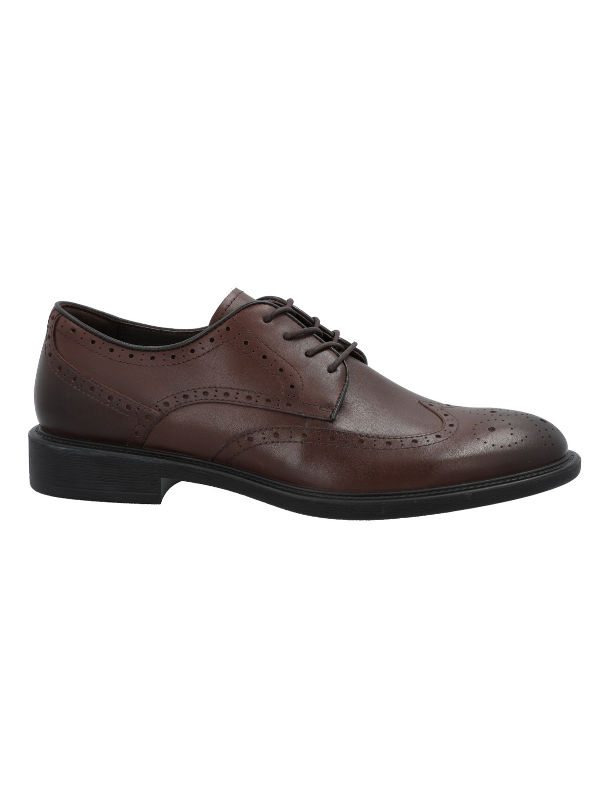 ZAPATO CUERO HOMBRE TERRE CAFE  ROCKFORD - 1