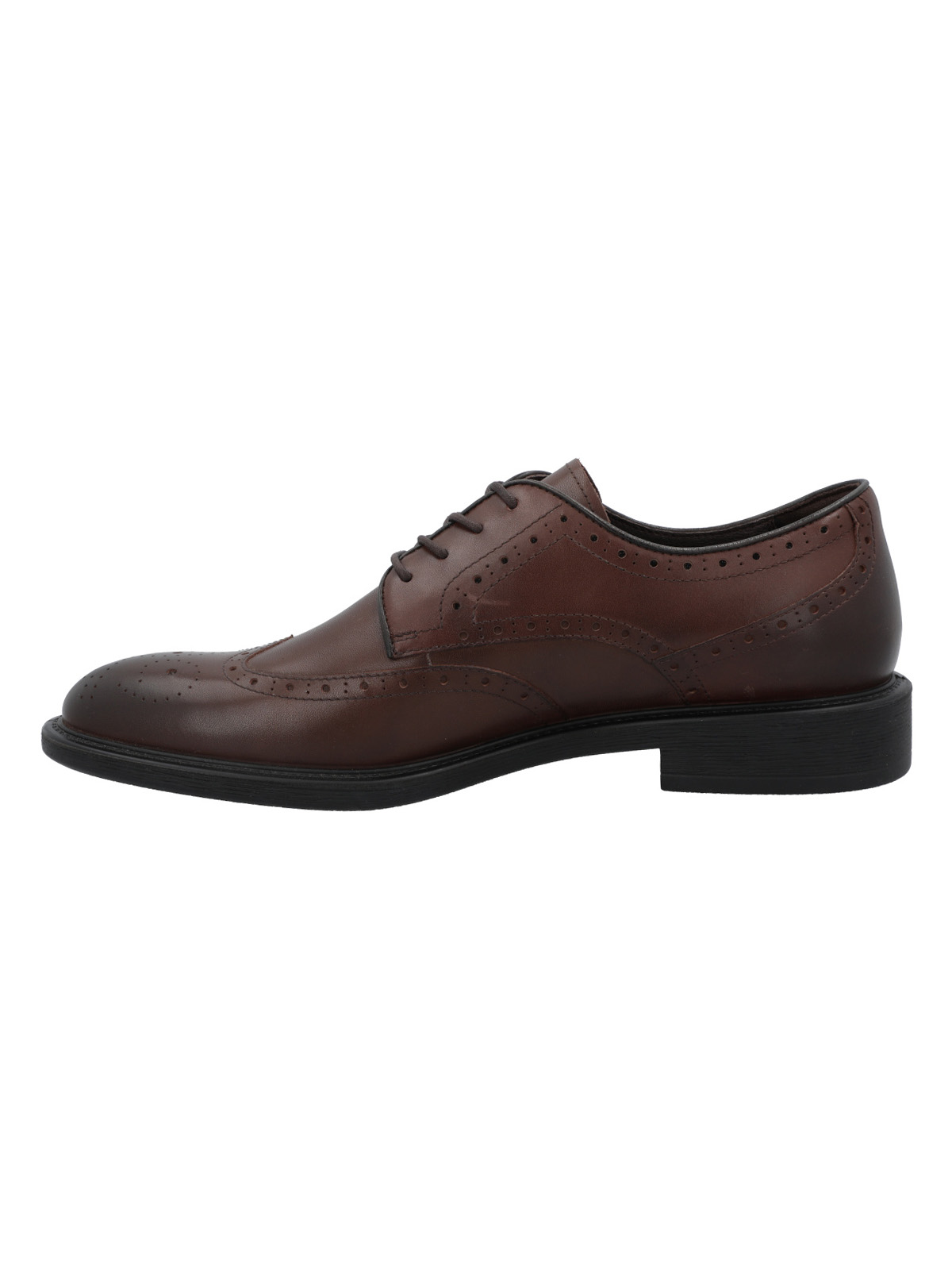 ZAPATO CUERO HOMBRE TERRE CAFE  ROCKFORD - 6
