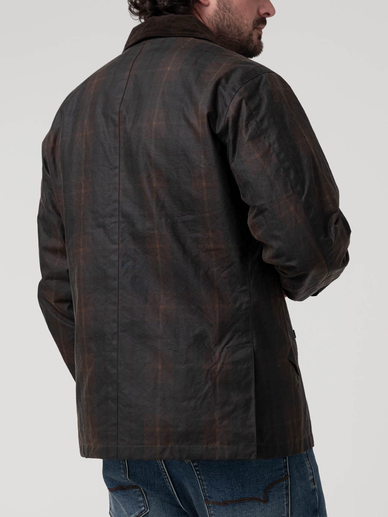 CHAQUETA ALGODON HOMBRE TARTANWAX CAFE  ROCKFORD - 6