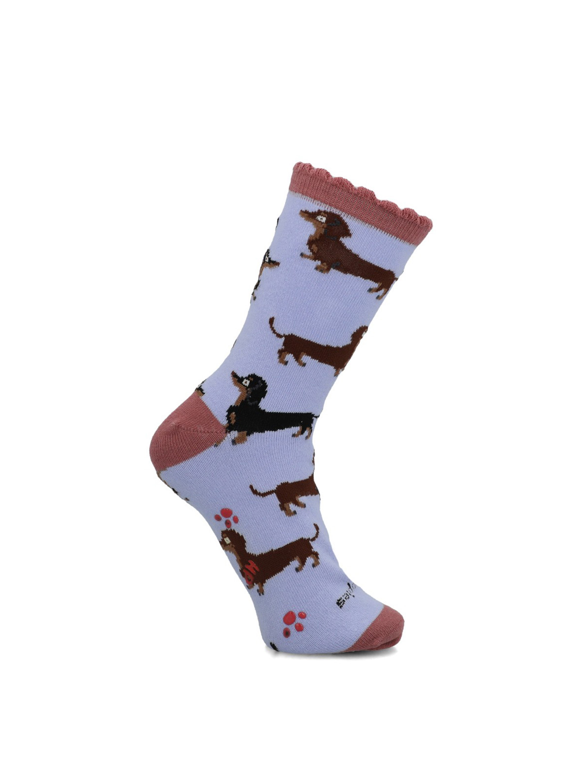 CALCETIN ALGODON NIÑA C ST DACHSHUND ROSADO HUSH PUPPIES KIDS - 1