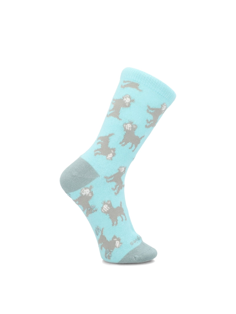 CALCETIN ALGODON NIÑO C DOG  CELESTE HUSH PUPPIES KIDS - 1