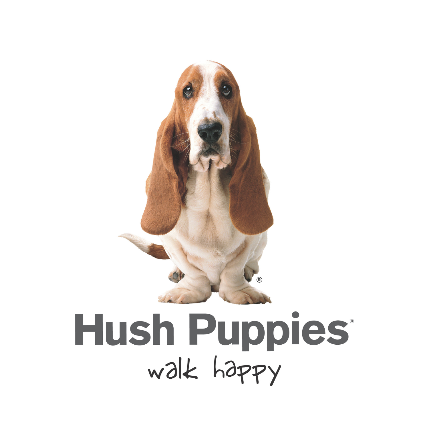 CALCETIN ALGODON NIÑO C DOG SPORTRIB AZUL HUSH PUPPIES KIDS - 4