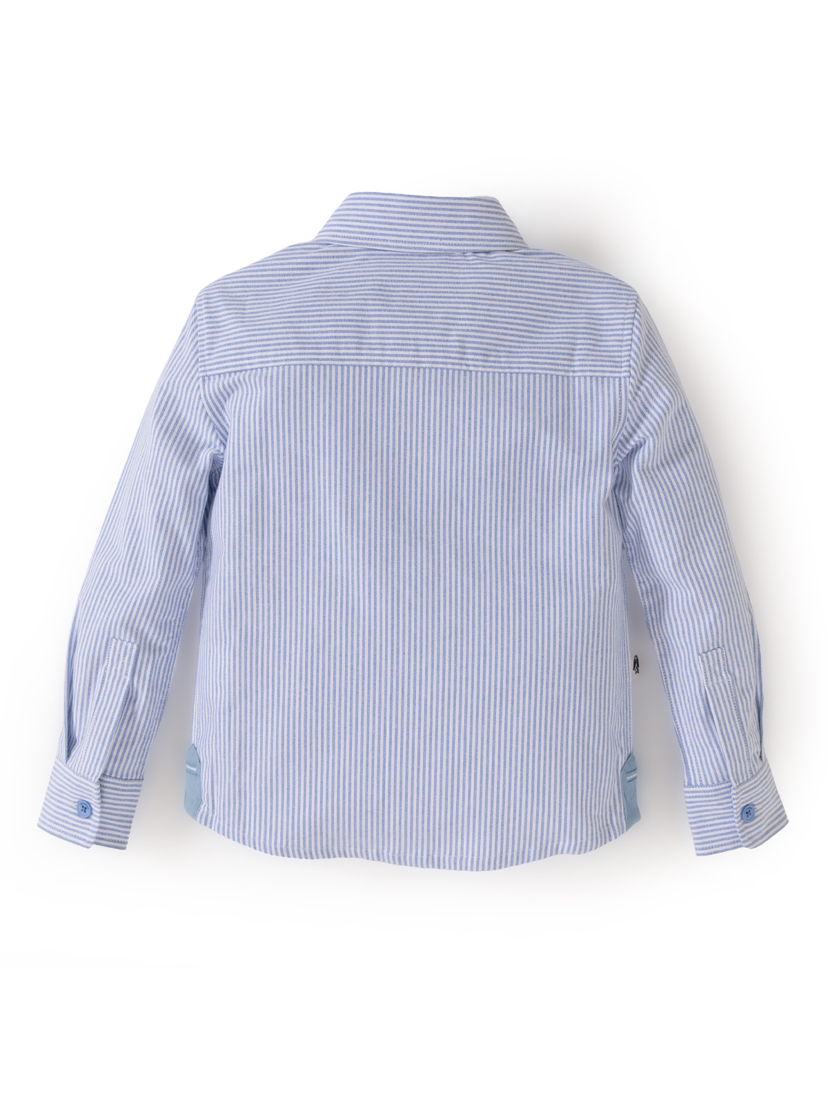 CAMISA MANGA LARGA NIÑO LUMIX CELESTE HUSH PUPPIES KIDS - 2
