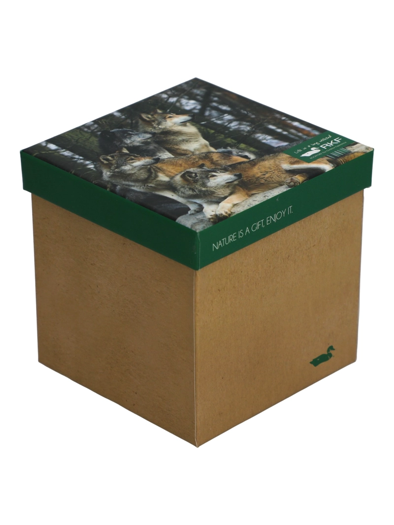 CALCETIN BAMBU HOMBRE PACK GIFT WLF MULTICOLOR ROCKFORD - 1
