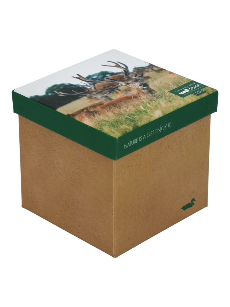 CALCETIN BAMBU MUJER PACK GIFT BAM MULTICOLOR ROCKFORD - 1