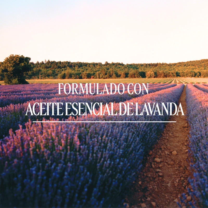 REFILL JABON LIQUIDO LAVANDA 500 ML, L'OCCITANE - 3