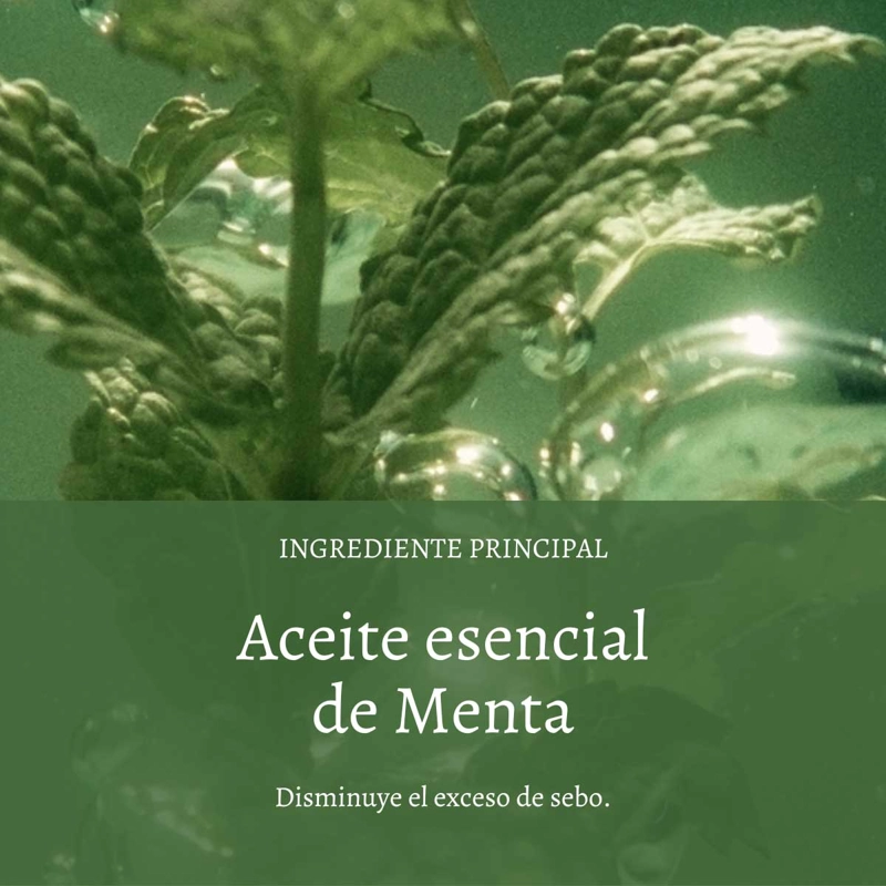 EXFOLIANTE CAPILAR FRESCURA Y PUREZA 150 ML - 2