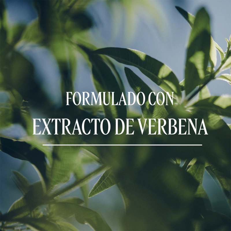 REFILL JABON LIQUIDO VERBENA 500 ML, L'OCCITANE - 3
