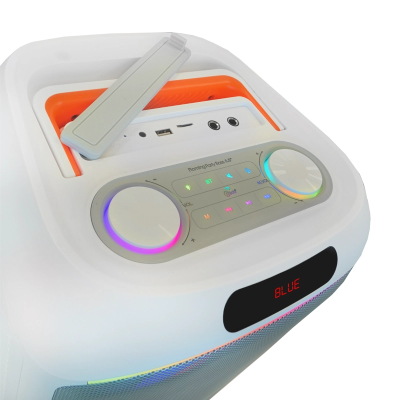 PARLANTE FLAMING PARTY BASS DOBLE 6.5 PULGADAS MICROFONO INALAMBRICO LUCES MLAB 9565 - 2