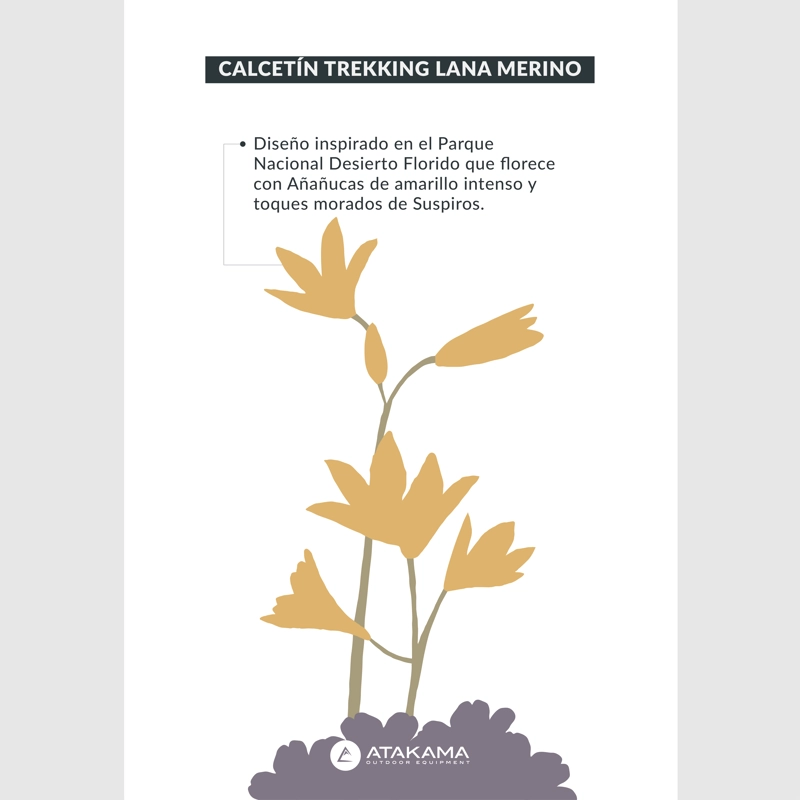 CALCETIN TREKKING DESIERTO FLORIDO LANA MERINO ATAKAMA OUTDOOR - 7