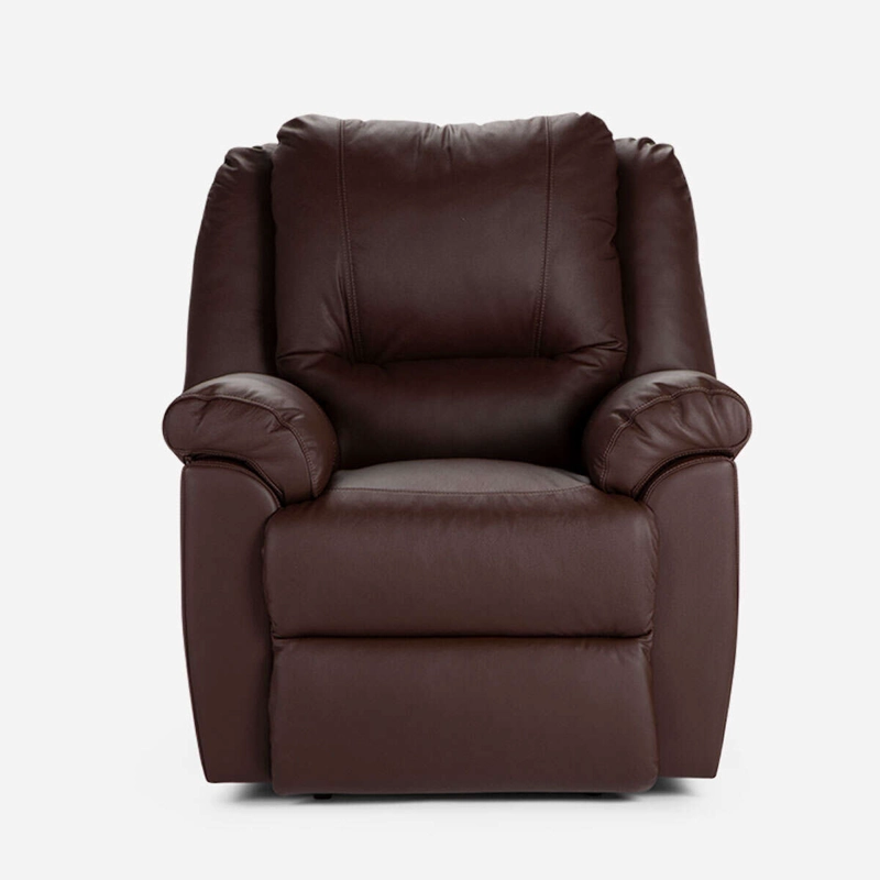 BERGERE ROSEN VELASQUEZ 1 CUERPO CUERO CHOCOLATE ELÉCTRICO - 5
