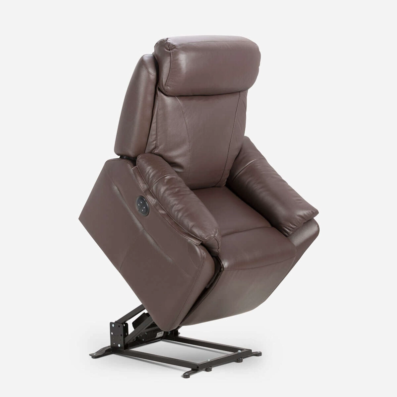 BERGERE ROSEN KLIMT CUERO CAFÉ ELÉCTRICO CON ALZADOR - 1