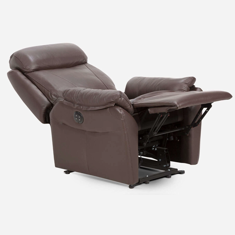 BERGERE ROSEN KLIMT CUERO CAFÉ ELÉCTRICO CON ALZADOR - 4