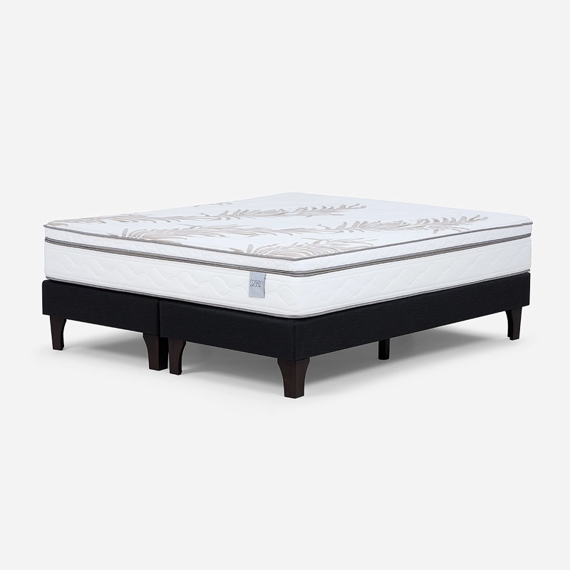BOX SPRING ROSEN NEO PLUS 2 PLAZAS 150 X 200 CM - 1