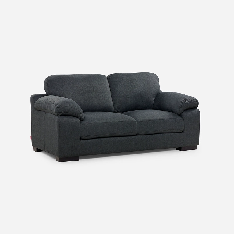 SOFA ROSEN BOLONIA 2,5 CUERPOS TELA GRAFITO - 1
