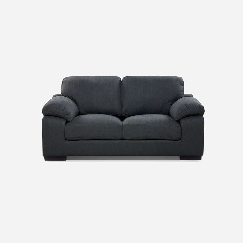 SOFA ROSEN BOLONIA 2,5 CUERPOS TELA GRAFITO - 2