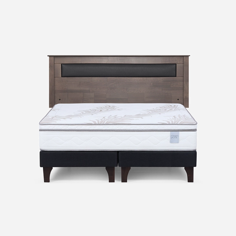 CAMA EUROPEA ROSEN NEO PLUS 2 PLAZAS 150X200 CM + RESPALDO FERRARA - 1