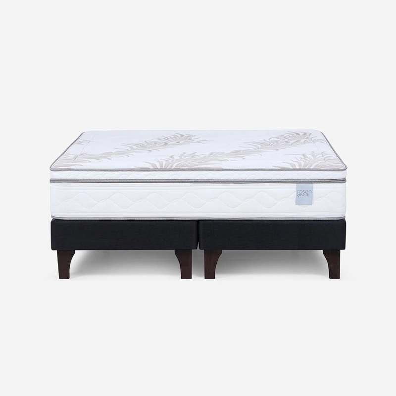 CAMA EUROPEA ROSEN NEO PLUS SUPER KING + ALMOHADAS MICROFIBRA FEEL - 2