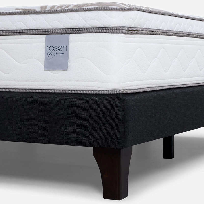 CAMA EUROPEA ROSEN NEO PLUS SUPER KING + ALMOHADAS MICROFIBRA FEEL - 3