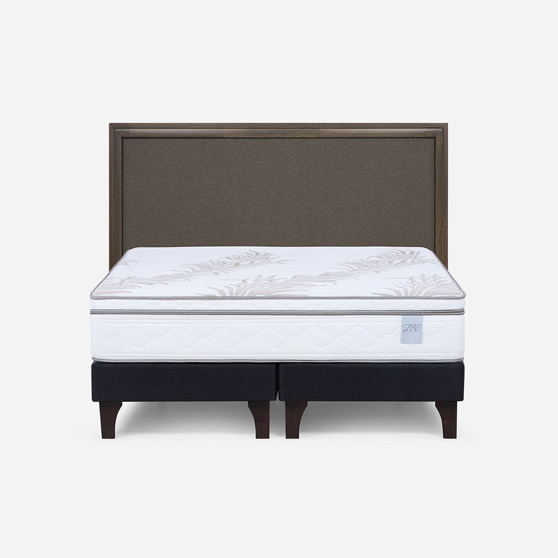 CAMA EUROPEA NEO PLUS 2 PLAZAS BD + RESPALDO NOLITA CAFE - 1