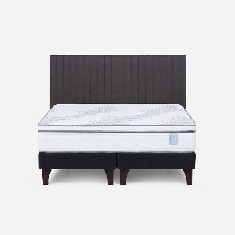 CAMA EUROPEA NEO PLUS 2 PLAZAS BD + RESPALDO LUCIO GRAFITO - 1
