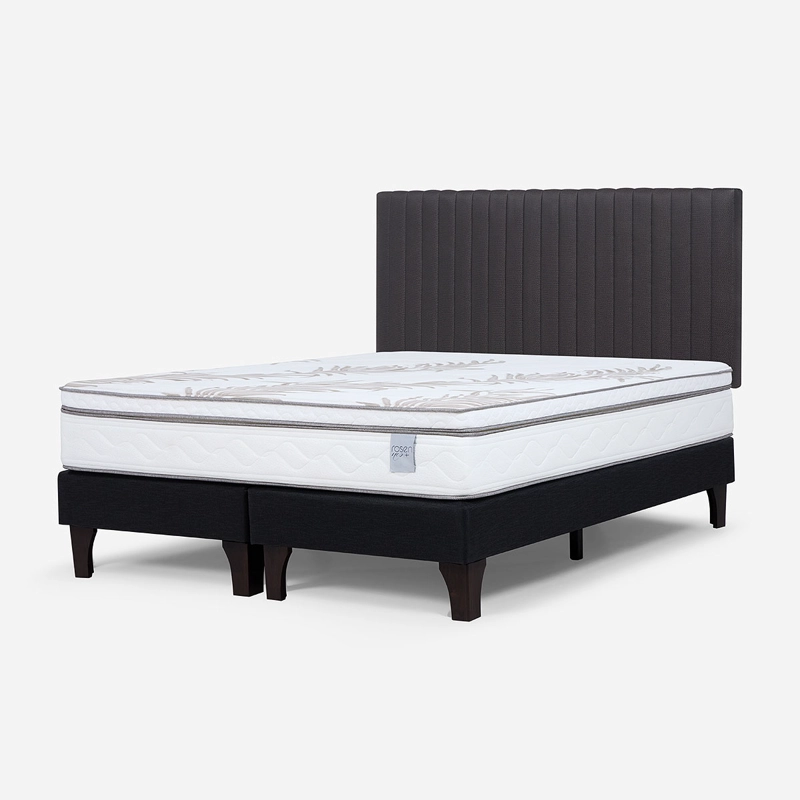 CAMA EUROPEA NEO PLUS 2 PLAZAS BD + RESPALDO LUCIO GRAFITO - 3