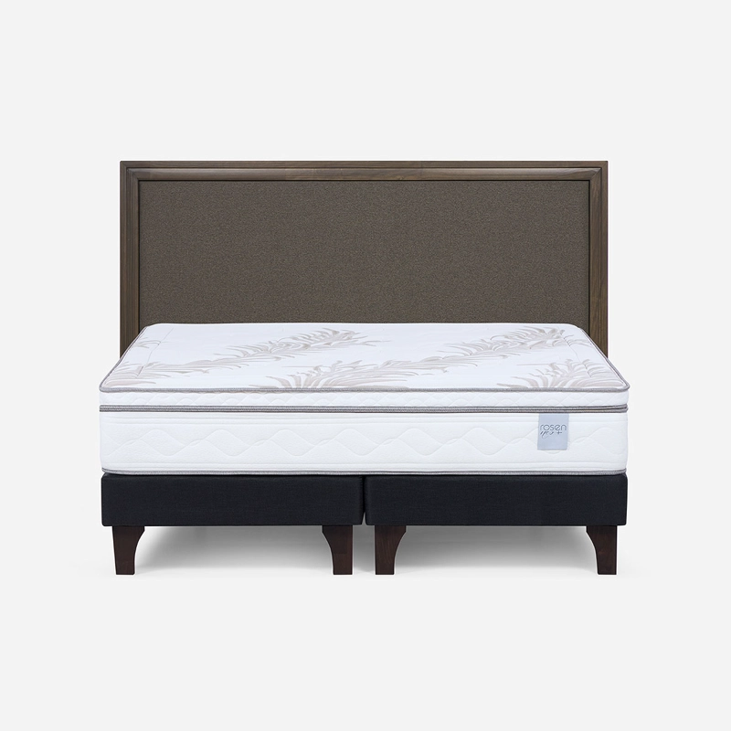 CAMA EUROPEA NEO PLUS KING BD + RESPALDO NOLITA CAFE - 1