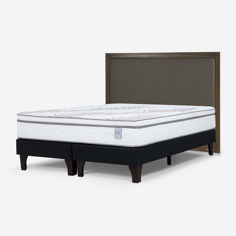 CAMA EUROPEA NEO PLUS KING BD + RESPALDO NOLITA CAFE - 3