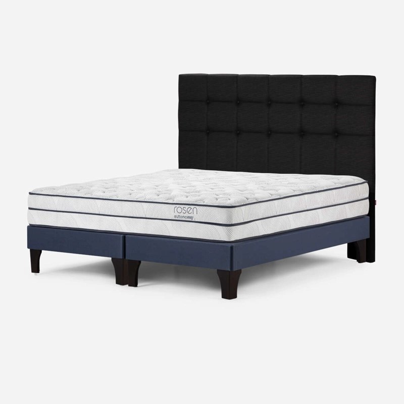 CAMA AUTONOMY SKY SUPER KING + RESPALDO ISSEY - 3