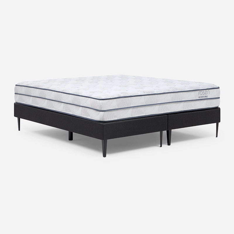 CAMA EUROPEA AUTONOMY SKY 2 PLAZAS BD - 1