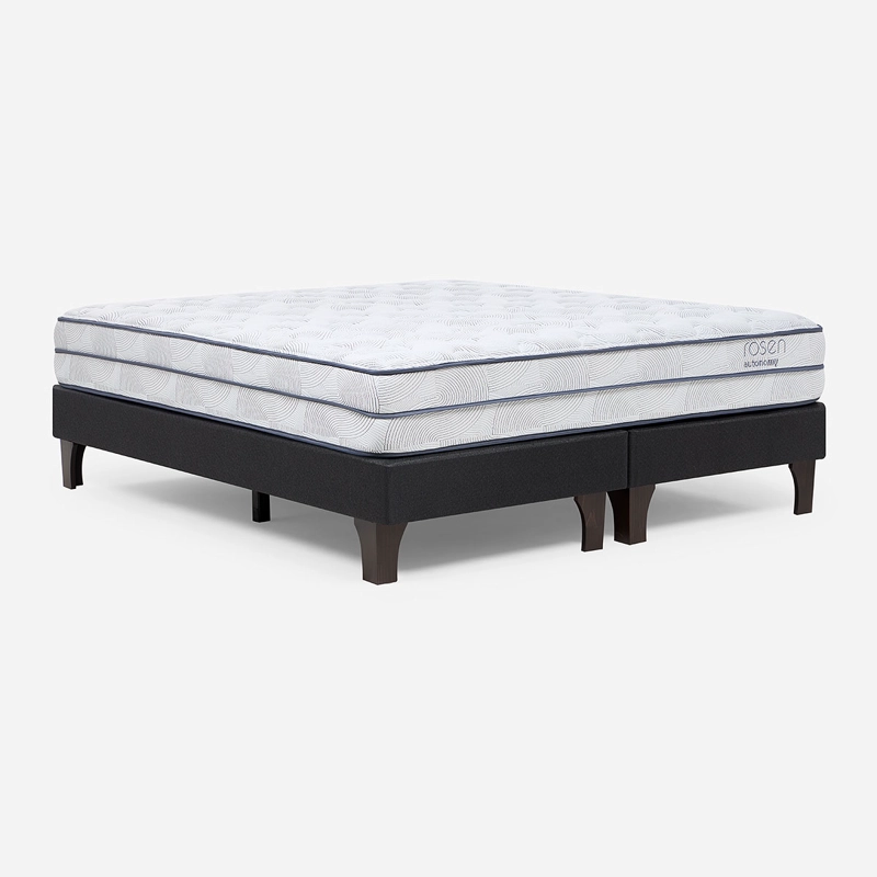 CAMA EUROPEA AUTONOMY SKY 2 PLAZAS BD - 1