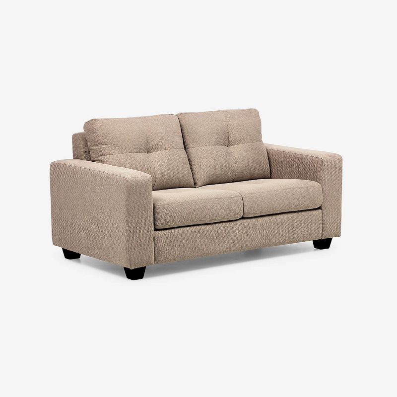SOFA LARA 2 CUERPOS COLOR VISON - 1