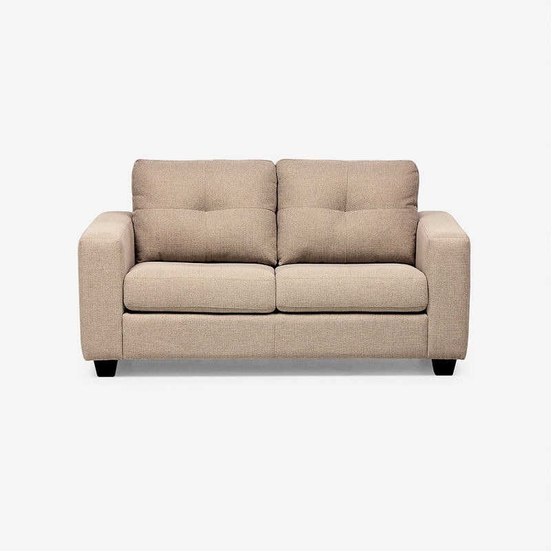 SOFA LARA 2 CUERPOS COLOR VISON - 3